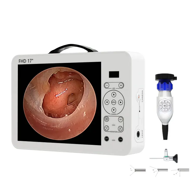 ชุดระบบวินิจฉัยทางหู คอ จมูก พ - Medical Lab Images บทวิจารณ์และราคา